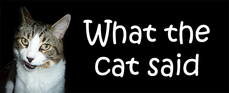 What The Cat Said